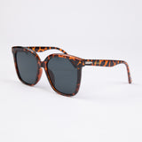 Daytona Sunglasses