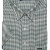 Taunton Polo