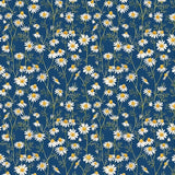 Ladies Handkerchief