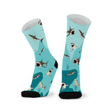 Red Fox Sox