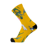 Red Fox Sox Box