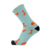 Red Fox Sox Box