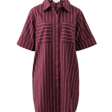 Sara Shirt Dress