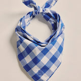 Parachilna Bandana