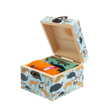 Red Fox Sox Box