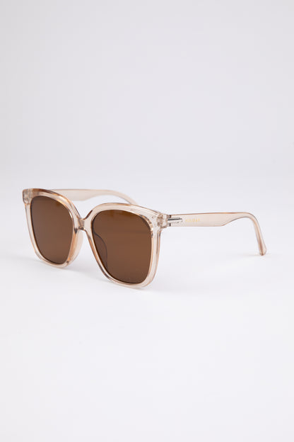 Daytona Sunglasses