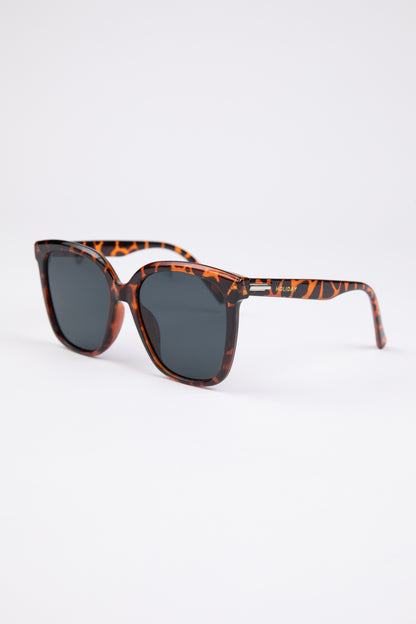 Daytona Sunglasses