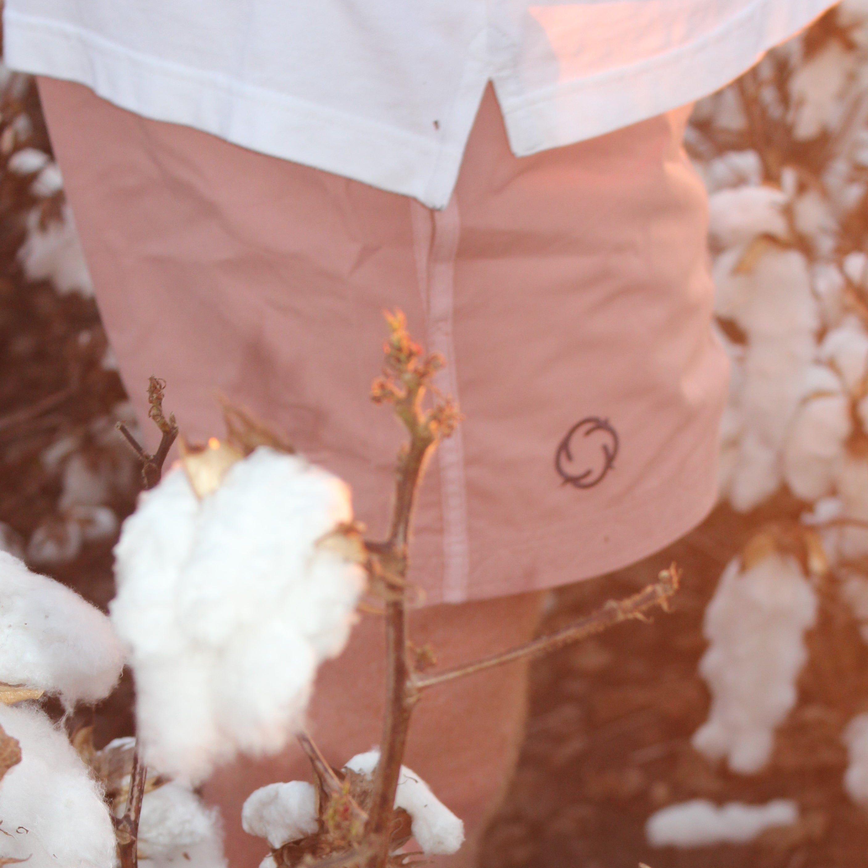 Rugged Cross Shorts