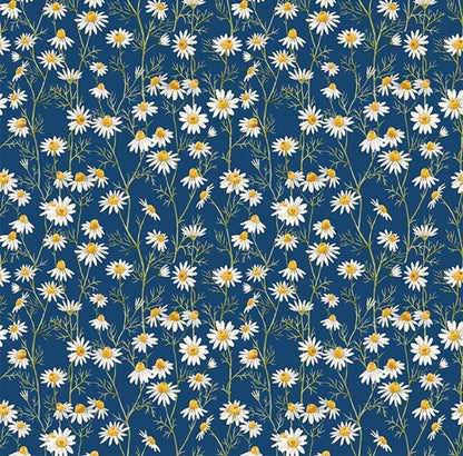 Ladies Handkerchief