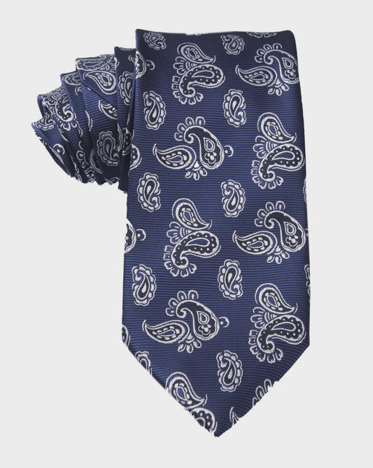 Paisley Navy Tie